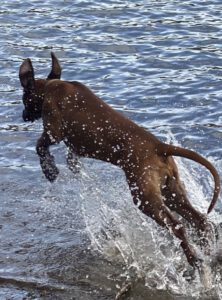 Tari - Wasser